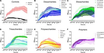 Unraveling the Metabolic Requirements of the Gut Commensal Bacteroides ovatus